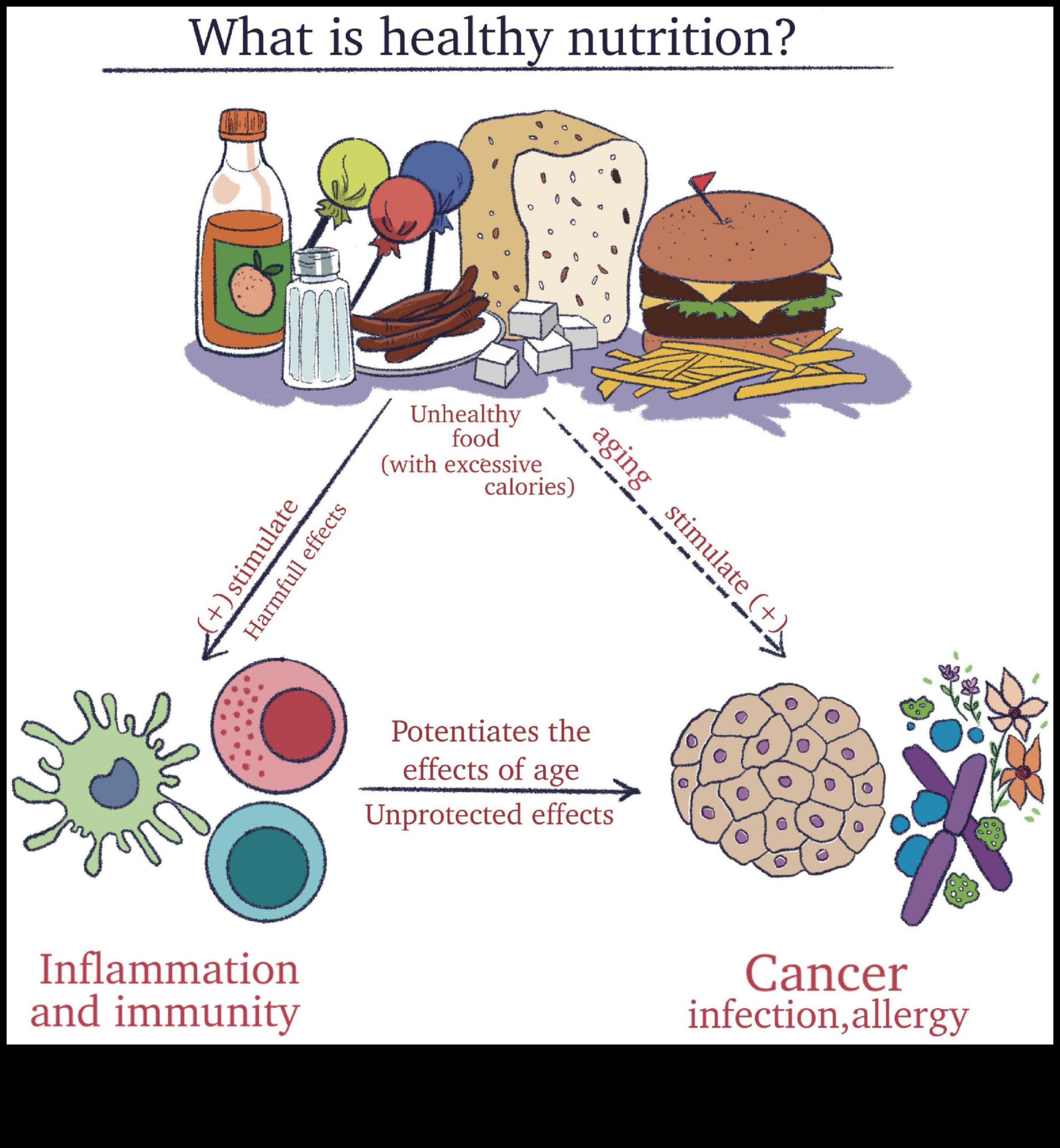 Chemical Connections: A Comprehensive Guide to Nutrition Biochemistry