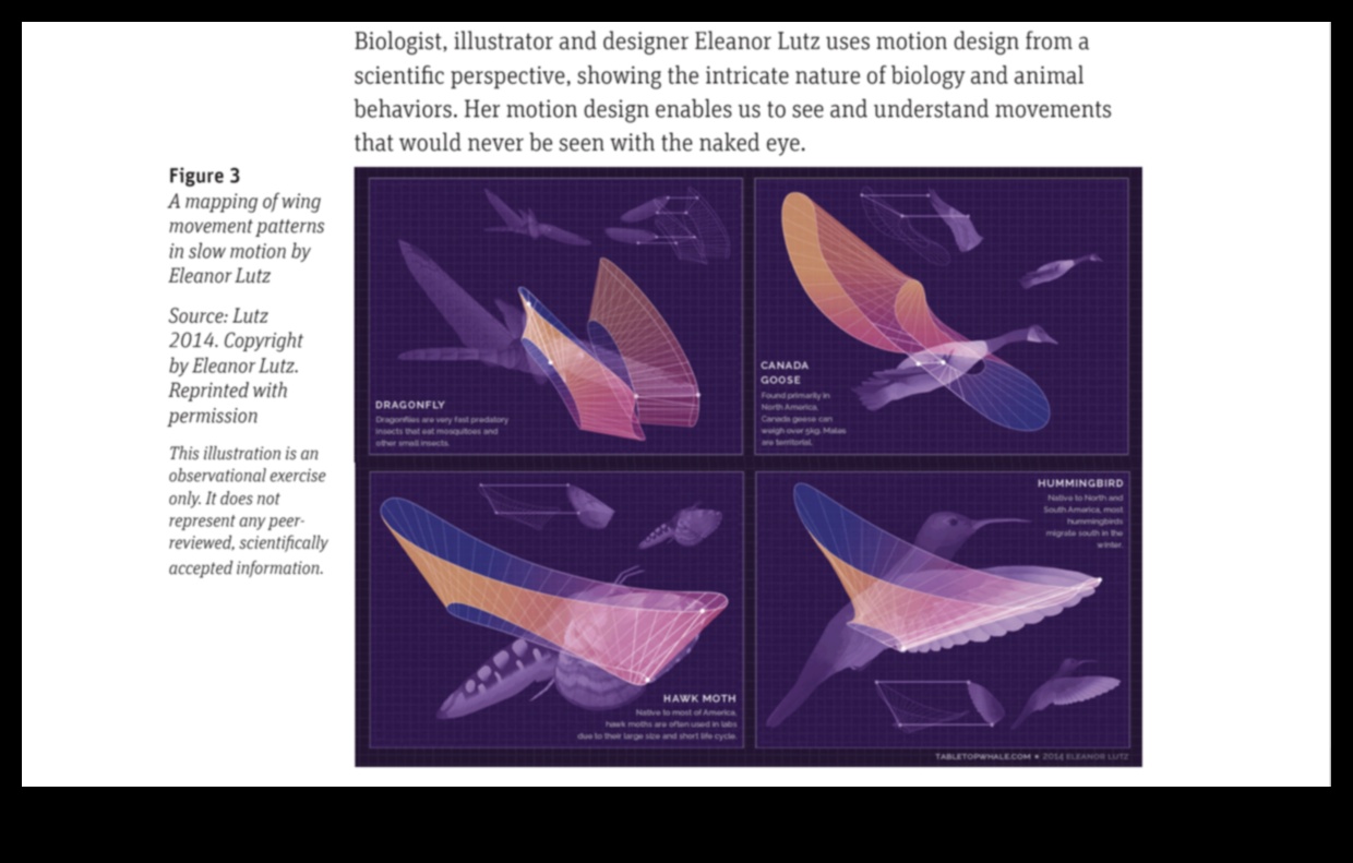 Dynamic Design: Motion Graphics και Interactive Critical Evaluations