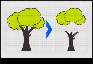 Branding Harmony: Balanceing Elements in Design and Identity