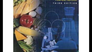 Chemical Connections: A Comprehensive Guide to Nutrition Biochemistry