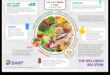 Community Wellness Plate: Navigating Public Health Nutrition