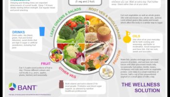 Community Wellness Plate: Navigating Public Health Nutrition