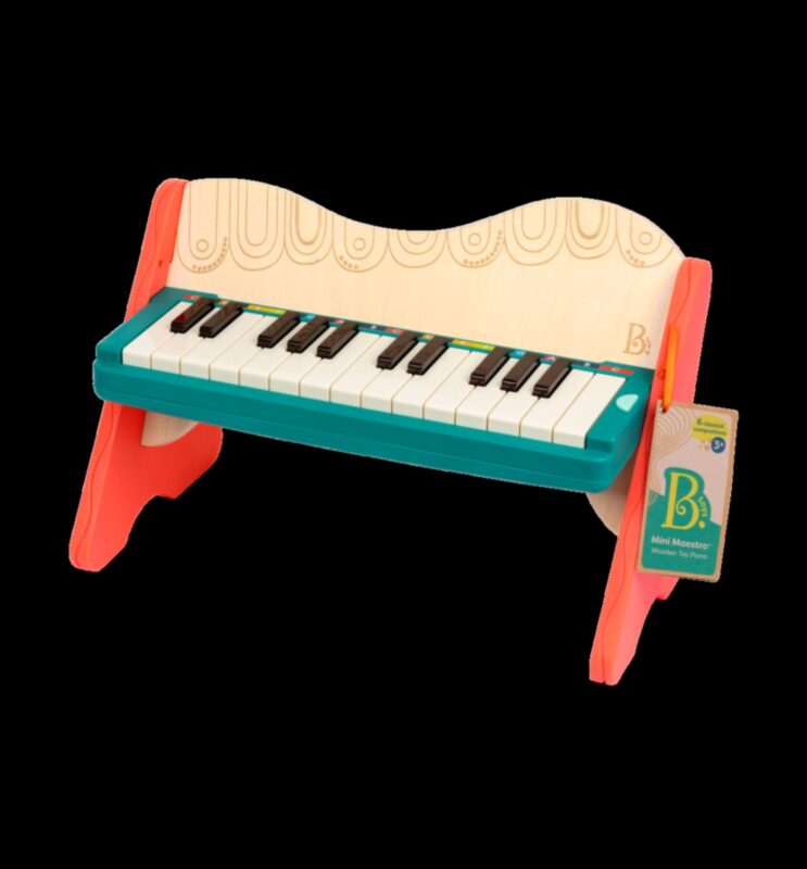 Musical Maestro: Instruments and Gear for the Music Lover