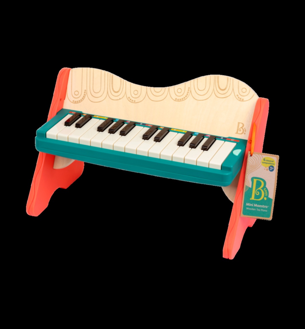 Musical Maestro: Instruments and Gear for the Music Lover