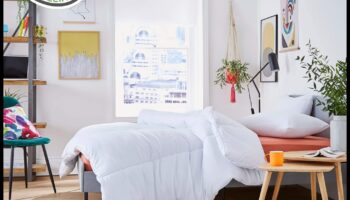 Snuggle Sweets: Cozy Up with Essential Gear