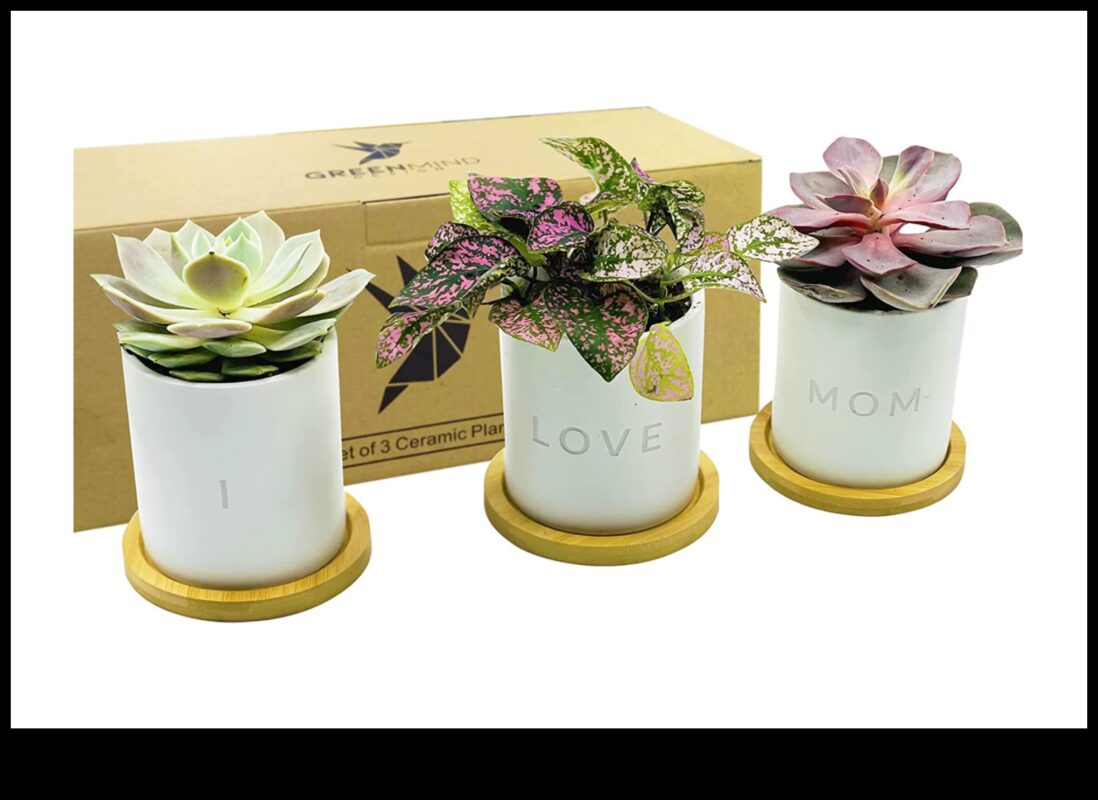 Green Goddess: Επιλογή δώρων με θέμα τα φυτά για τη γιορτή της μητέρας