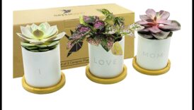 Green Goddess: Επιλογή δώρων με θέμα τα φυτά για τη γιορτή της μητέρας