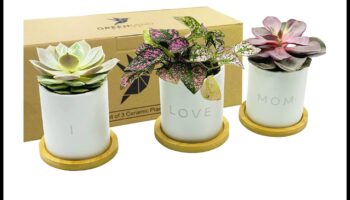 Green Goddess: Επιλογή δώρων με θέμα τα φυτά για τη γιορτή της μητέρας