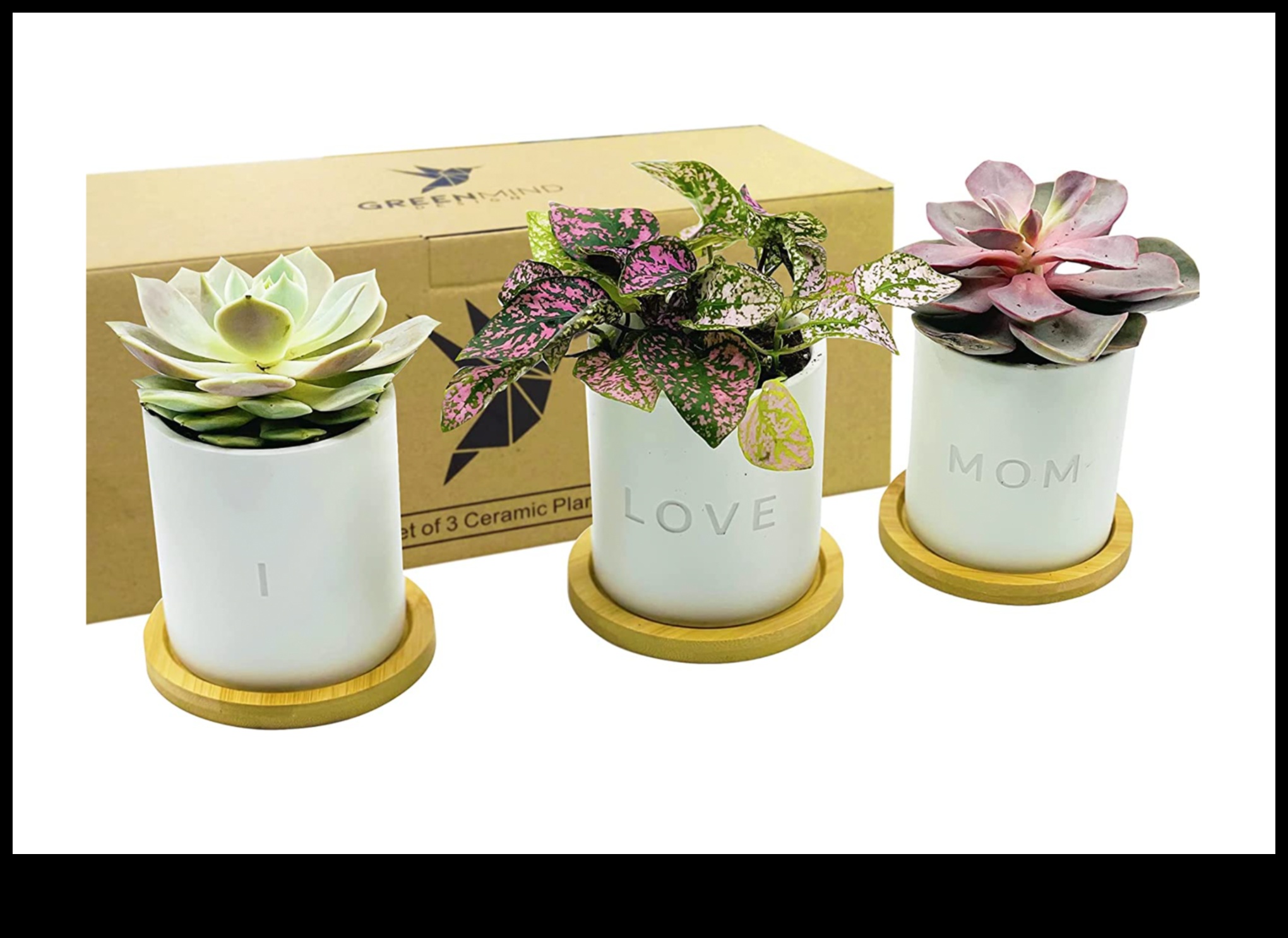 Green Goddess: Επιλογή δώρων με θέμα τα φυτά για τη γιορτή της μητέρας