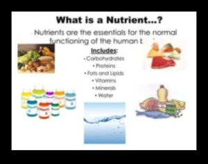 Μάστορας μακροθρεπτικών συστατικών: Πλοήγηση στον κόσμο των βασικών θρεπτικών συστατικών