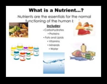 Μάστορας μακροθρεπτικών συστατικών: Πλοήγηση στον κόσμο των βασικών θρεπτικών συστατικών