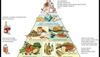 Καλή διατροφή κάθε μέρα: Ένας πρακτικός οδηγός για τη διατροφική ζωή